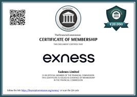 Comprehensive Review of Exness Pakistan Broker Trading Made Easy